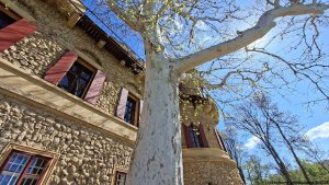 Podivín - CHKO Soutok - Lednice - Minaret - Lužní les - Kančí obora - Břeclav
