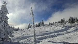 Ovčárna - Temná - Kapličkový vrch - Malá Morávka