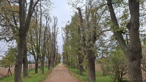 Rajhrad - Židlochovice - rozhledna Akátová věž - Blučina