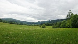 Lesní zážitková NS - Komňátka - štola Mařka – Bohdíkov - Komňátka