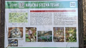 Tesák - Svatý Hostýn - Bystřice pod Hostýnem