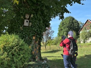 Tvrdkov - Souborem lesních bytostí - Ruda