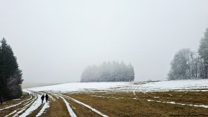 Písařovské sedlo - Spálenisko - Kocanda