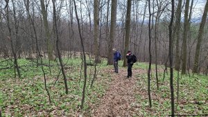 Velká Kraš - Annín - Kobylá - Venušiny misky - Smolný vrch - Boží hora - Žulová