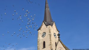 Mírov - Mohelnice