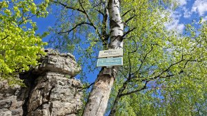 Libina - Tři kameny - Bradlo - Nová Hradečná Jana hadra Vlasta Vidrmanová
