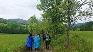 Lesní zážitková NS - Komňátka - štola Mařka – Bohdíkov - Komňátka