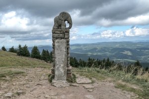 Ze zájezdu - Miedzygorze, Kralický Sněžník, Návrší.
