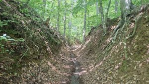 Úsov - Litovelské Pomoraví - Doubrava - Moravičany