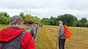Kobylá nad Vidnavkou - Mojmírův rybník - Lánský vrch - Žulová