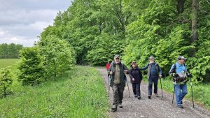 Pohořany - Strom splněných přání - Cesta světla - Bělkovice-Lašťany