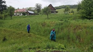 Lesní zážitková NS - Komňátka - štola Mařka – Bohdíkov - Komňátka