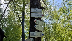 Libina - Tři kameny - Bradlo - Nová Hradečná Jana hadra Vlasta Vidrmanová