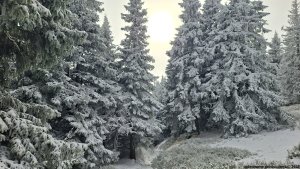 Ovčárna - Temná - Kapličkový vrch - Malá Morávka