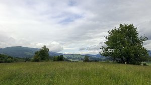 Vysoké Žibřidovice - Cibulka - Sviní hora - Vojtíškov - Podlesí