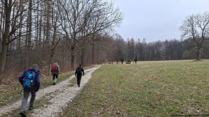 Velká Kraš - Annín - Kobylá - Venušiny misky - Smolný vrch - Boží hora - Žulová