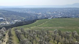 Hustopeče - Mandloňové sady - Kurdějov