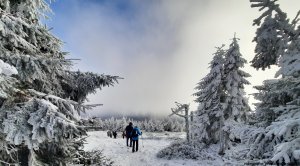 Ovčárna - Temná - Kapličkový vrch - Malá Morávka