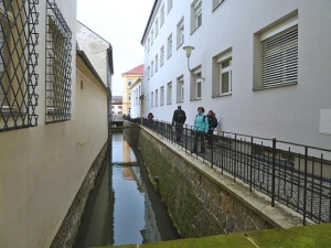 Z vycházky Střeň - Litovel. Vedl Standa Vantuch, foto Slávka Krejčí