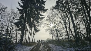 Mírov - Mohelnice