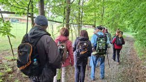 Pohořany - Strom splněných přání - Cesta světla - Bělkovice-Lašťany