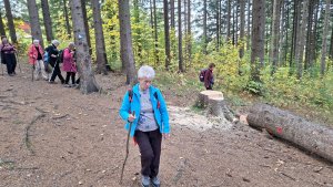 Horní Lipová - NS Johanna Schrotta - Lipová Lázně