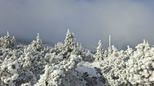 Ovčárna - Temná - Kapličkový vrch - Malá Morávka