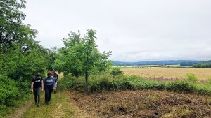 Kobylá nad Vidnavkou - Mojmírův rybník - Lánský vrch - Žulová