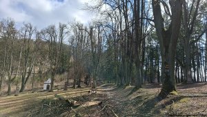 Olšany - Bartoňov - Radomilov - Kostelíček - Šumperk