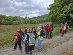 Pohořany - Strom splněných přání - Cesta světla - Bělkovice-Lašťany