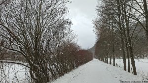 votvírák Vernířovice - Sobotín