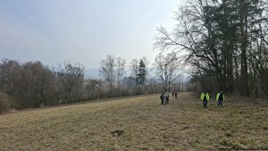 Zábřeh – Nemile - Nemilské hory - Zábřeh