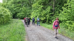 Pohořany - Strom splněných přání - Cesta světla - Bělkovice-Lašťany
