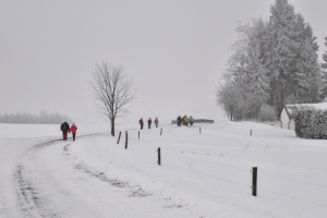 Z vycházky Kopřivná_Rovinka_Hanušovice. ved.Hruba,foto SlávkaaVojtaKrejčí