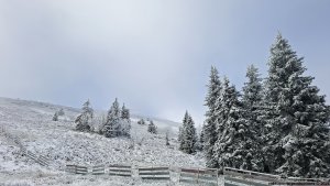 Ovčárna - Temná - Kapličkový vrch - Malá Morávka