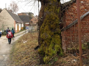 ... a ztracenou ulicí.