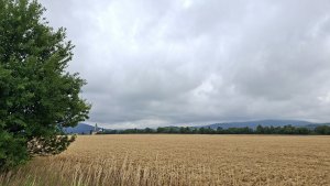 Kobylá nad Vidnavkou - Mojmírův rybník - Lánský vrch - Žulová
