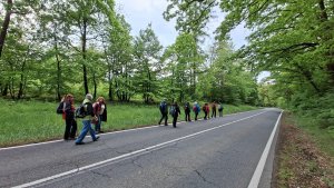 Pohořany - Strom splněných přání - Cesta světla - Bělkovice-Lašťany