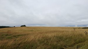 Kobylá nad Vidnavkou - Mojmírův rybník - Lánský vrch - Žulová