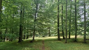 Úsov - Litovelské Pomoraví - Doubrava - Moravičany