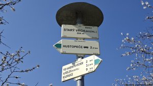 Hustopeče - Mandloňové sady - Kurdějov
