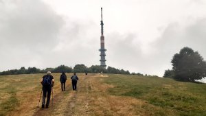 Javořina - Velká Javořina - Holubyho chata - Květná