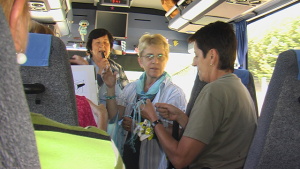 cesta autobusem