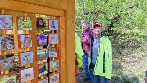 Libina - Tři kameny - Bradlo - Nová Hradečná Jana hadra Vlasta Vidrmanová