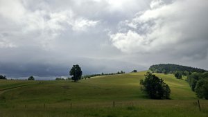 Vysoké Žibřidovice - Cibulka - Sviní hora - Vojtíškov - Podlesí