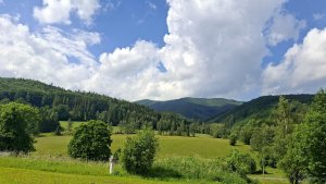 Horní Lipová - Lesní bar - Horní bar - Mrtvý kopec - Horní Lipová