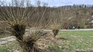Pohořany - Teplá díra - Bělkovické údolí - Bělkovice-Lašťany