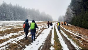 Písařovské sedlo - Spálenisko - Kocanda