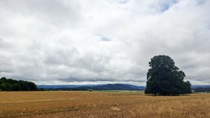 Kobylá nad Vidnavkou - Mojmírův rybník - Lánský vrch - Žulová