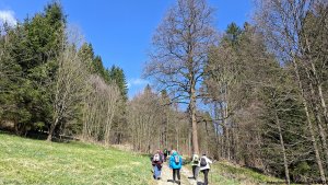 Jindřichov - zřícenina hradu Pleče - Hanušovice